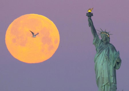 A bird flies in front of a supermoon setting behind The Statue Of Liberty