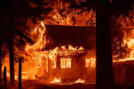 A home in flames framed by two tall trees.