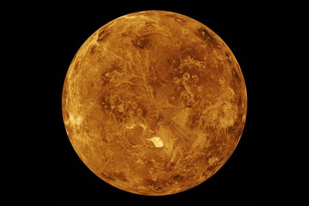 Venus