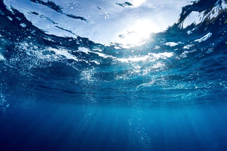 Underwater view of the sea surface